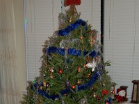 23 Christmas tree - December 04, 2012
